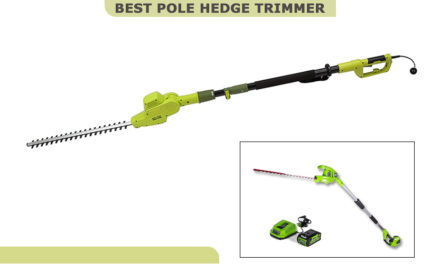 Best Pole Hedge Trimmer to Make Yard Good-Looking and Maintain