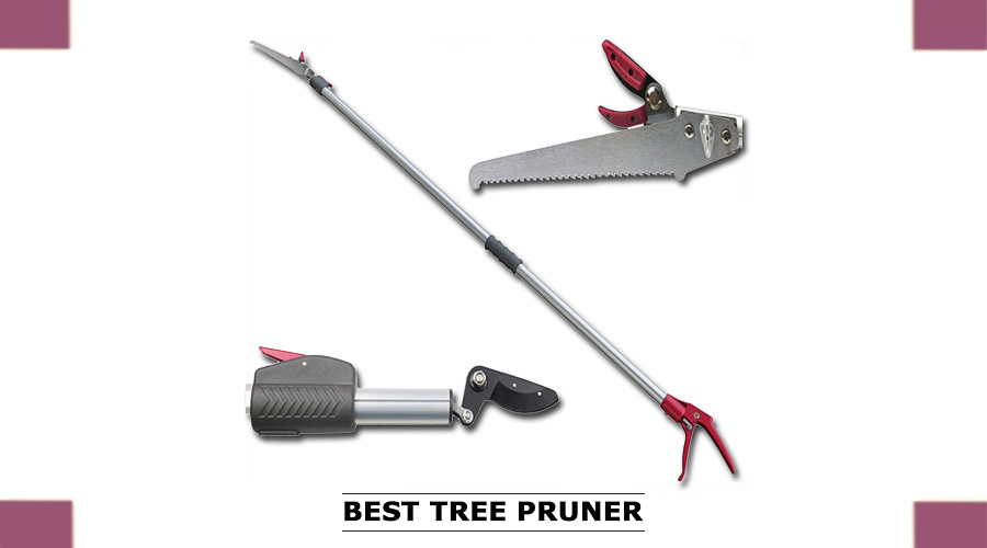 Best pole Pruner that Offers Different Results I Backdoor Pro